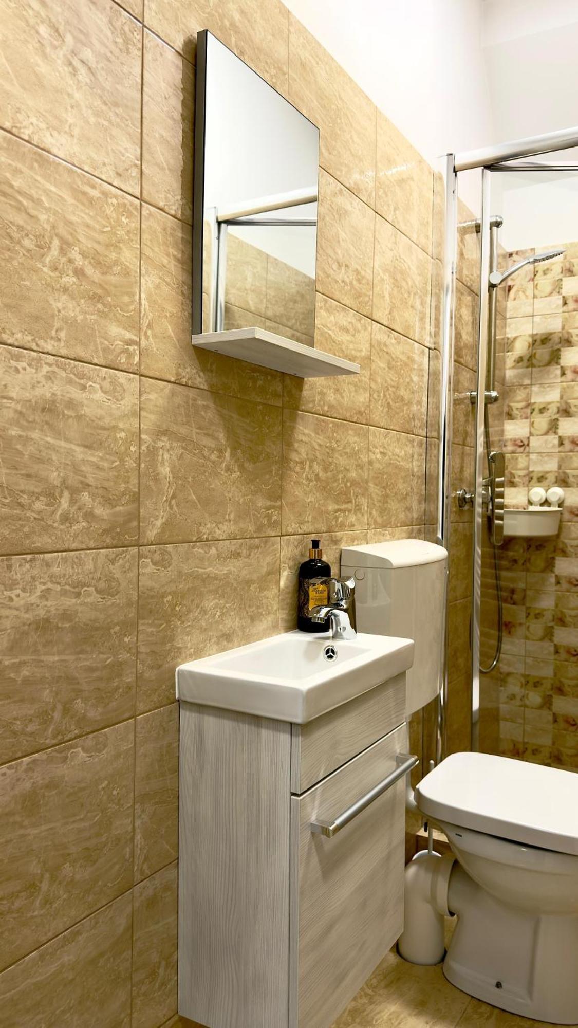 Phoenix Central Apartments Sibiu Dış mekan fotoğraf